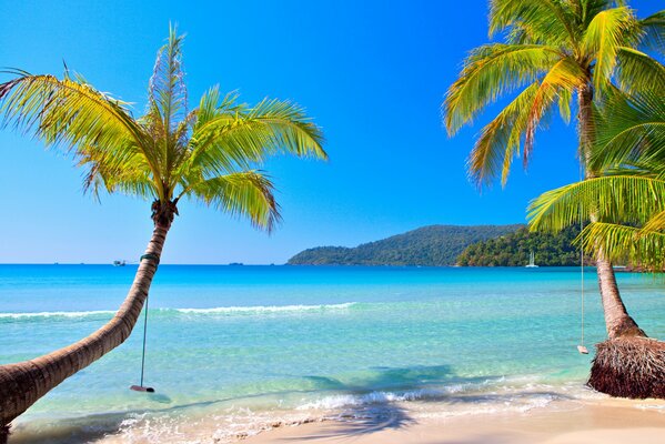 Tropical beach on the coast of Australia