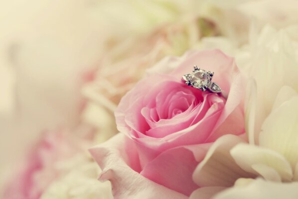 Picture of a marriage proposal with a ring and a rose