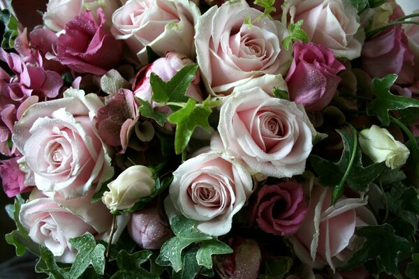 Bouquet di fiori verdi petali