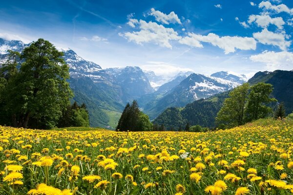 La natura nelle Alpi è molto bella