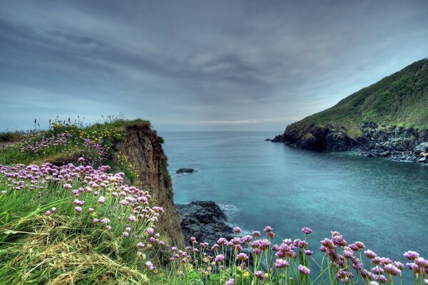 Paisaje cielo roca flores