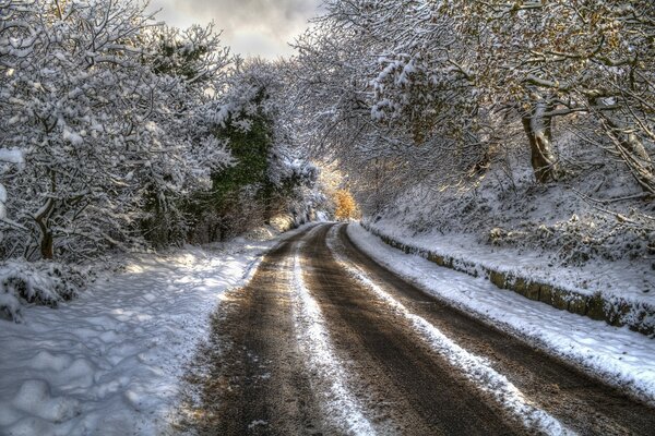 Winterstraße im verschneiten Wald