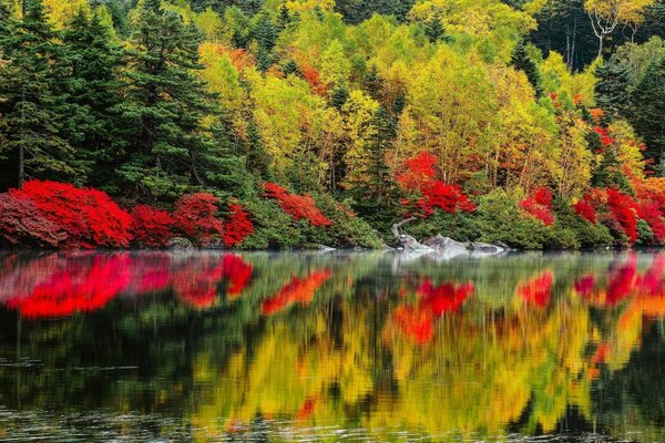 Árboles de otoño que reflejan en las aguas transparentes de un lago tranquilo