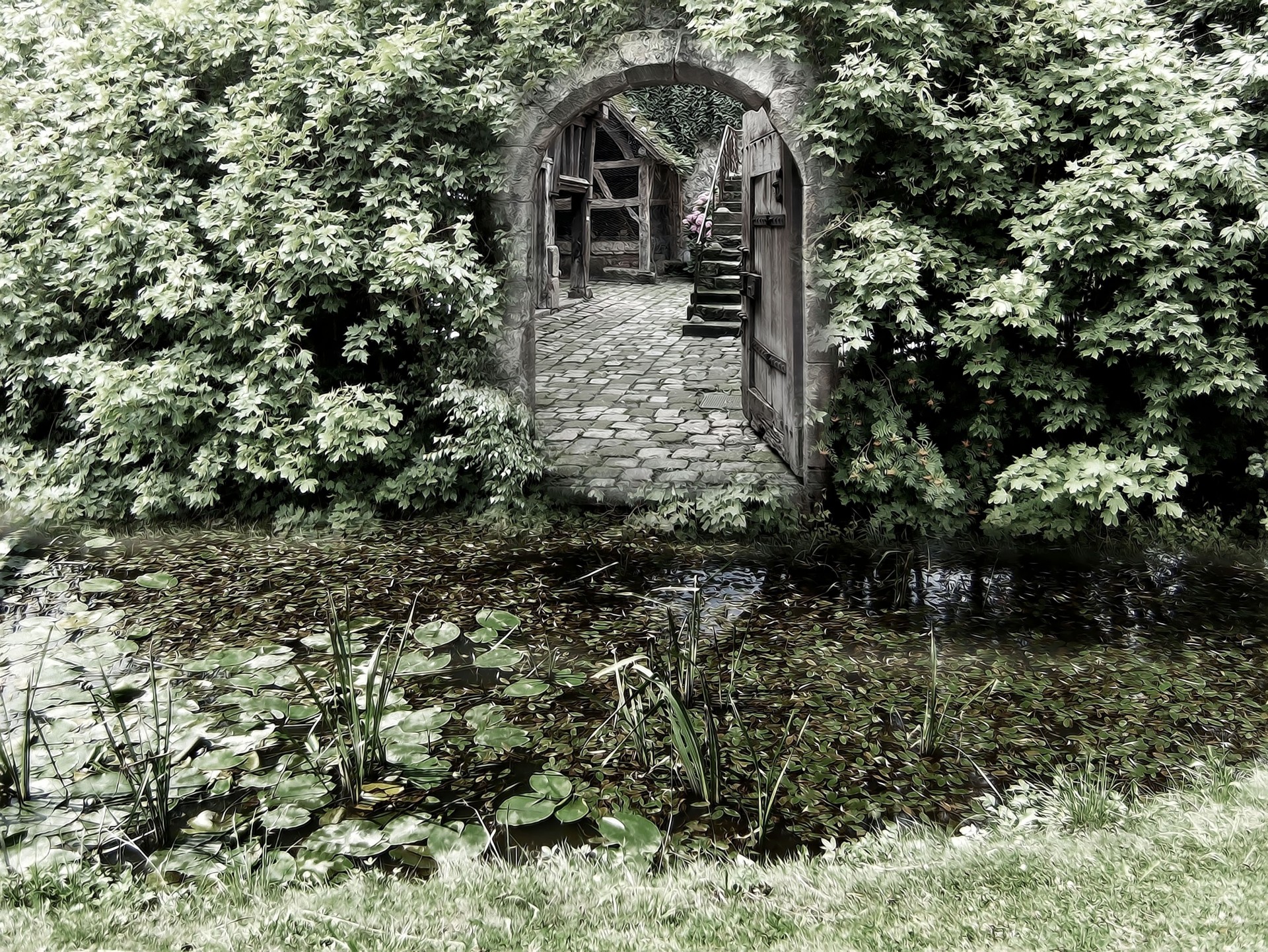 bogen teich natur büsche