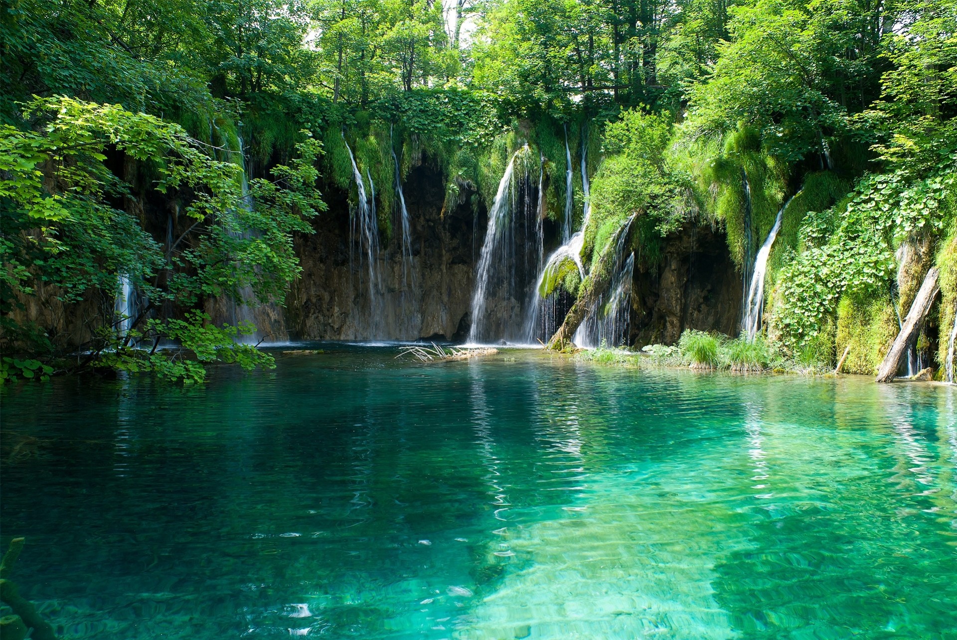 tree pond waterfall nature