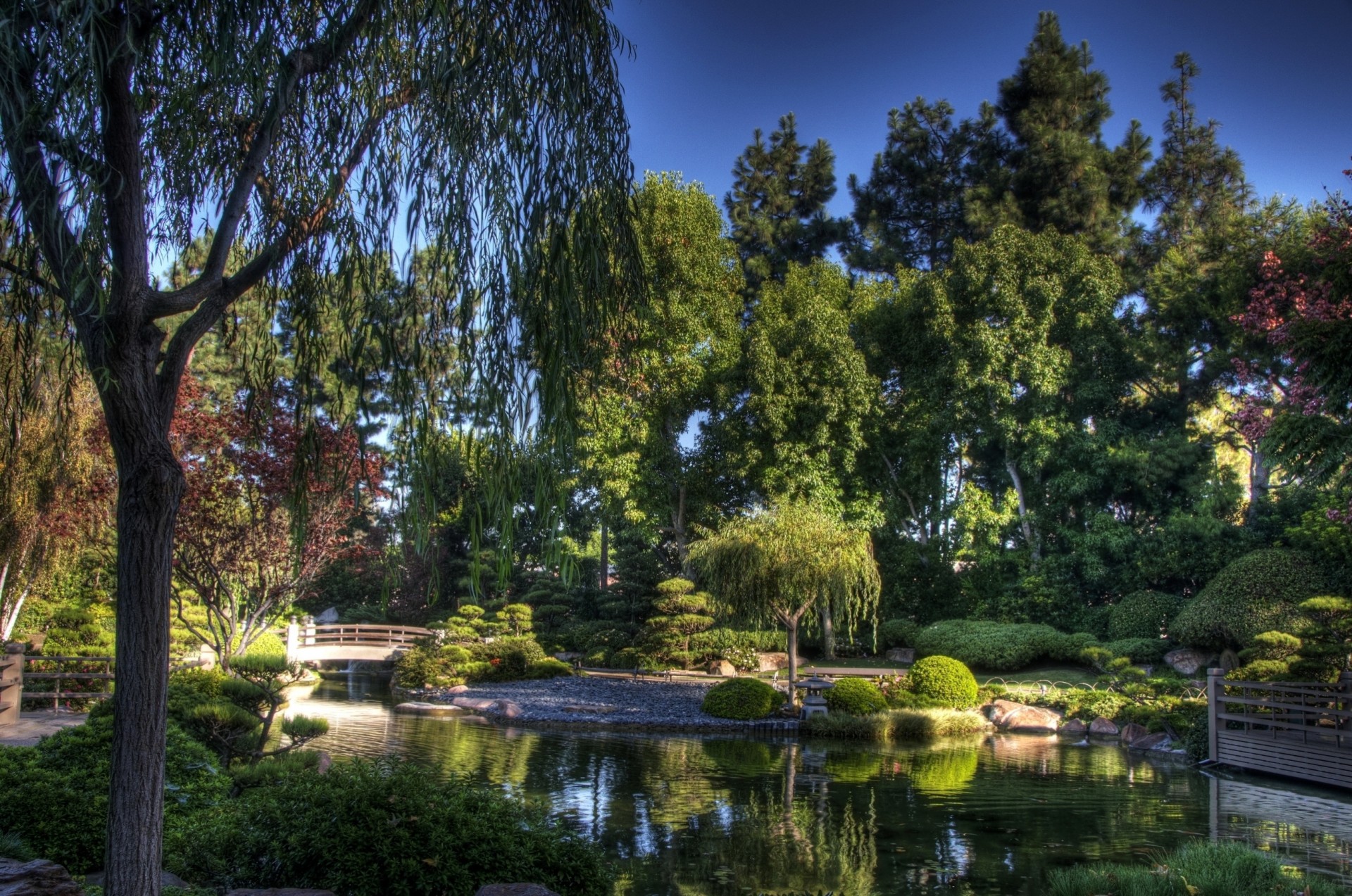 cielo alberi giardino stagno ponte