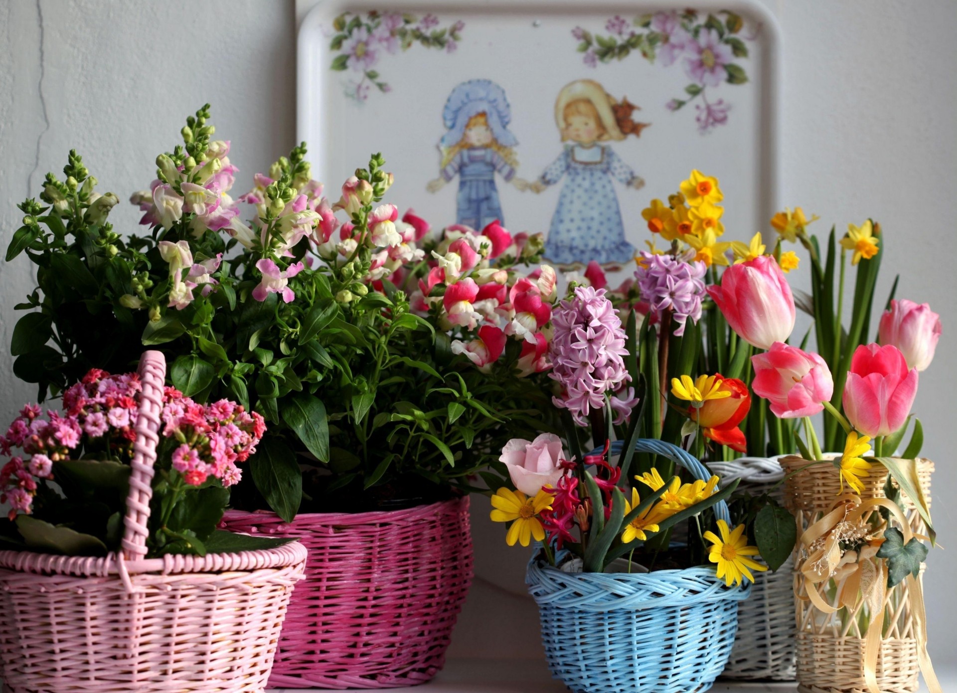 narzissen tulpen blumen vielfalt körbe kalanchoe hyazinthe freesien