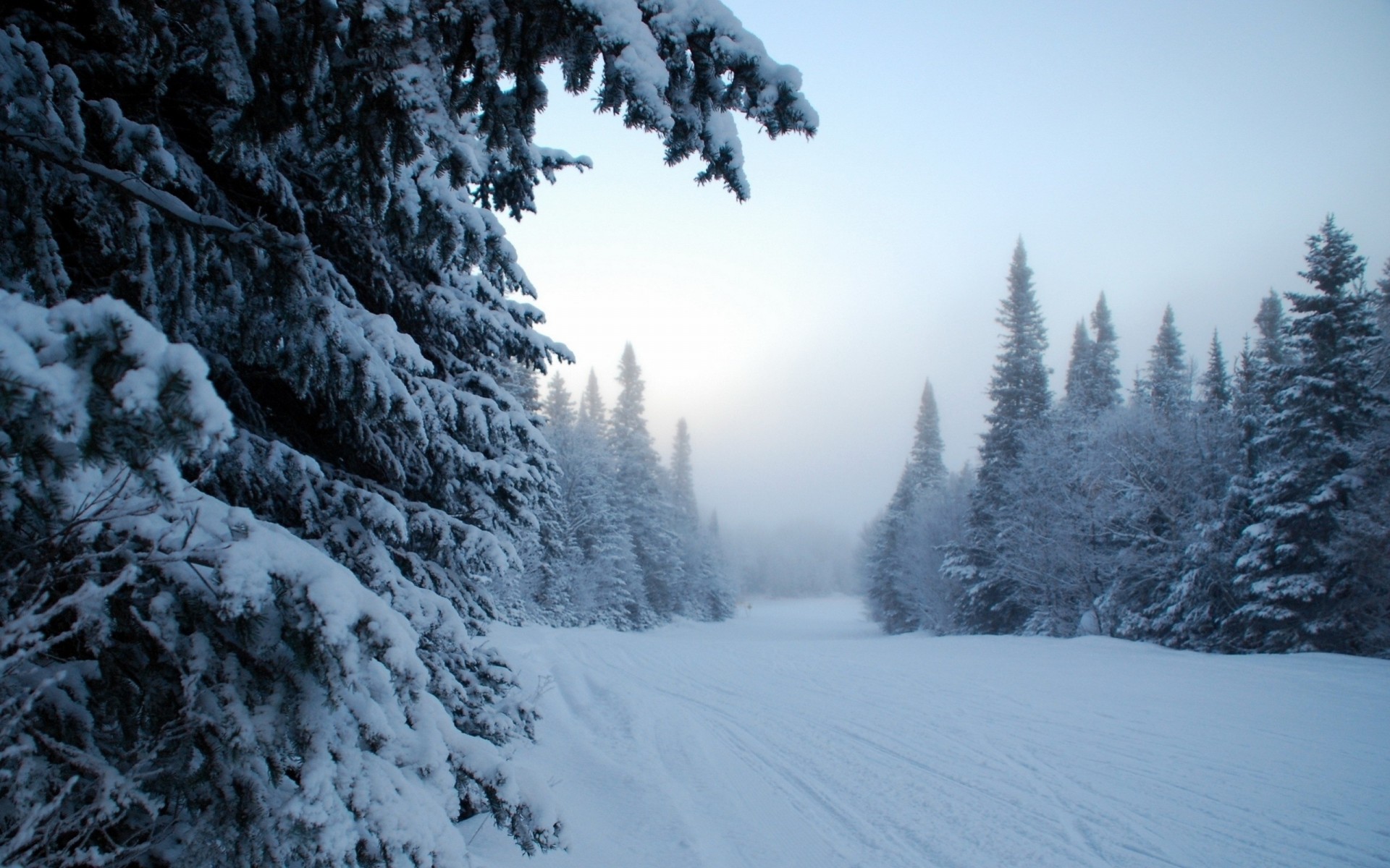 new year landscape snow nature winter