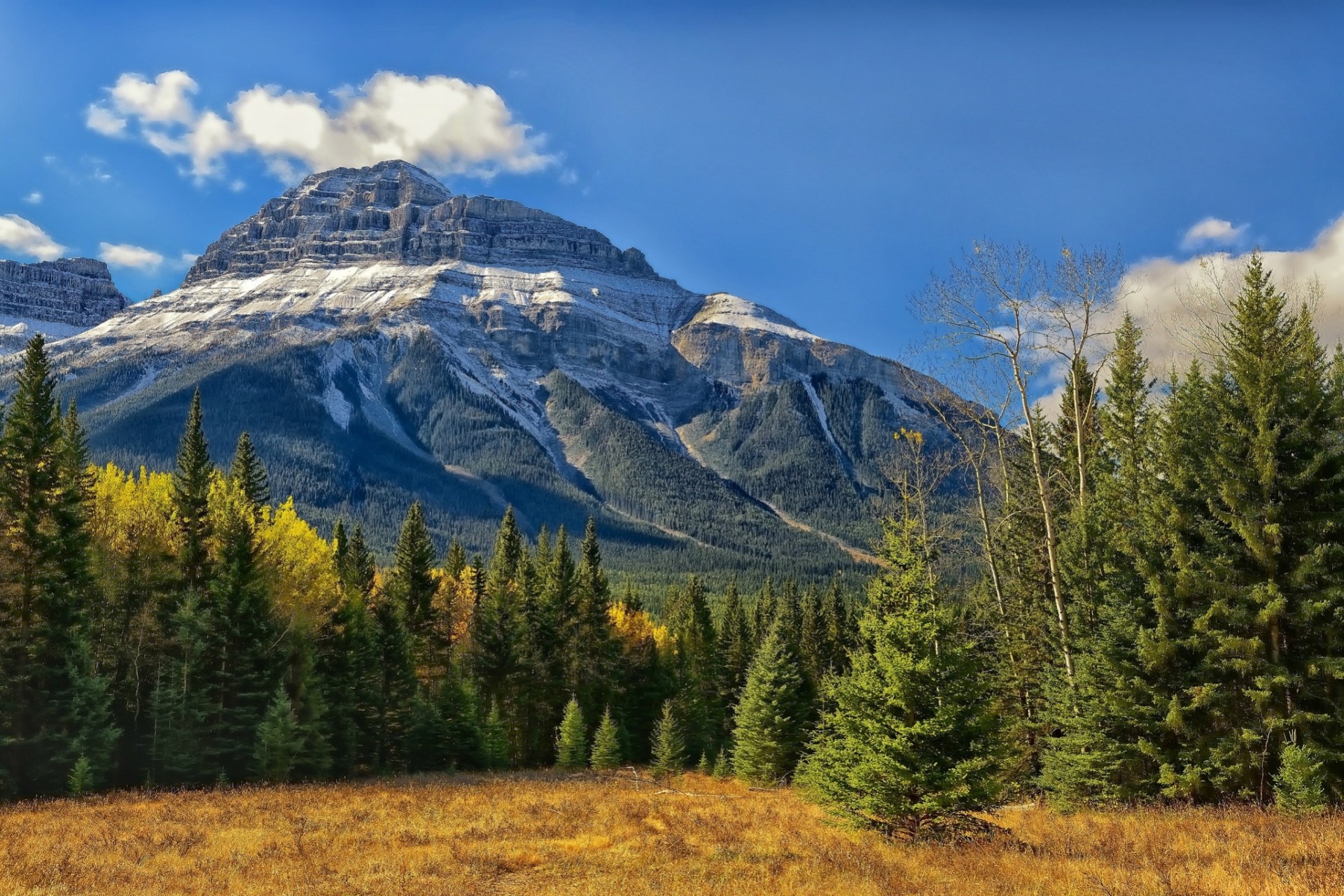 alberta banff national park mountains canada rocky mountains banff bow valley forest trees canadian rocky mountain