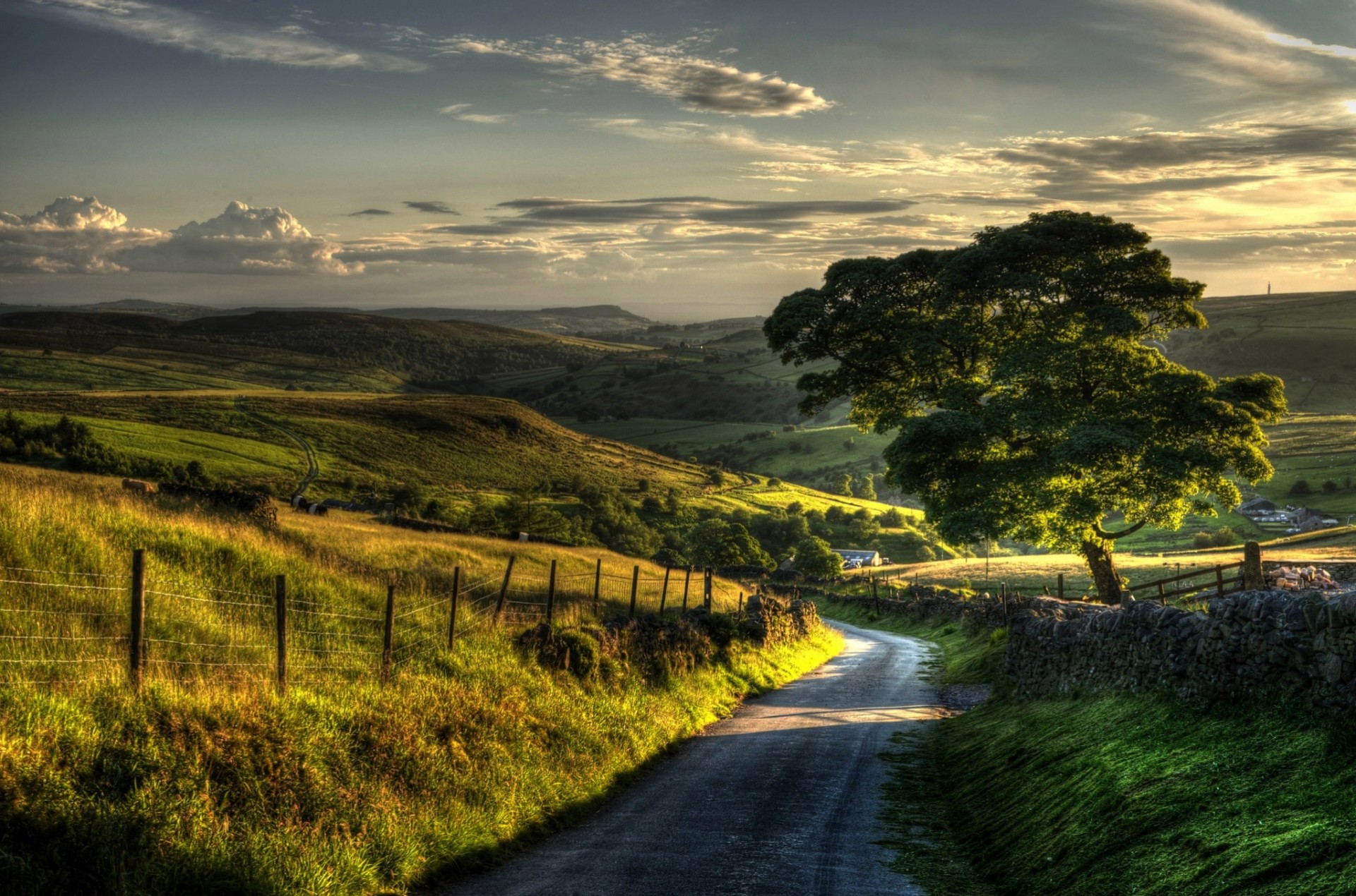 árboles paisaje naturaleza árbol