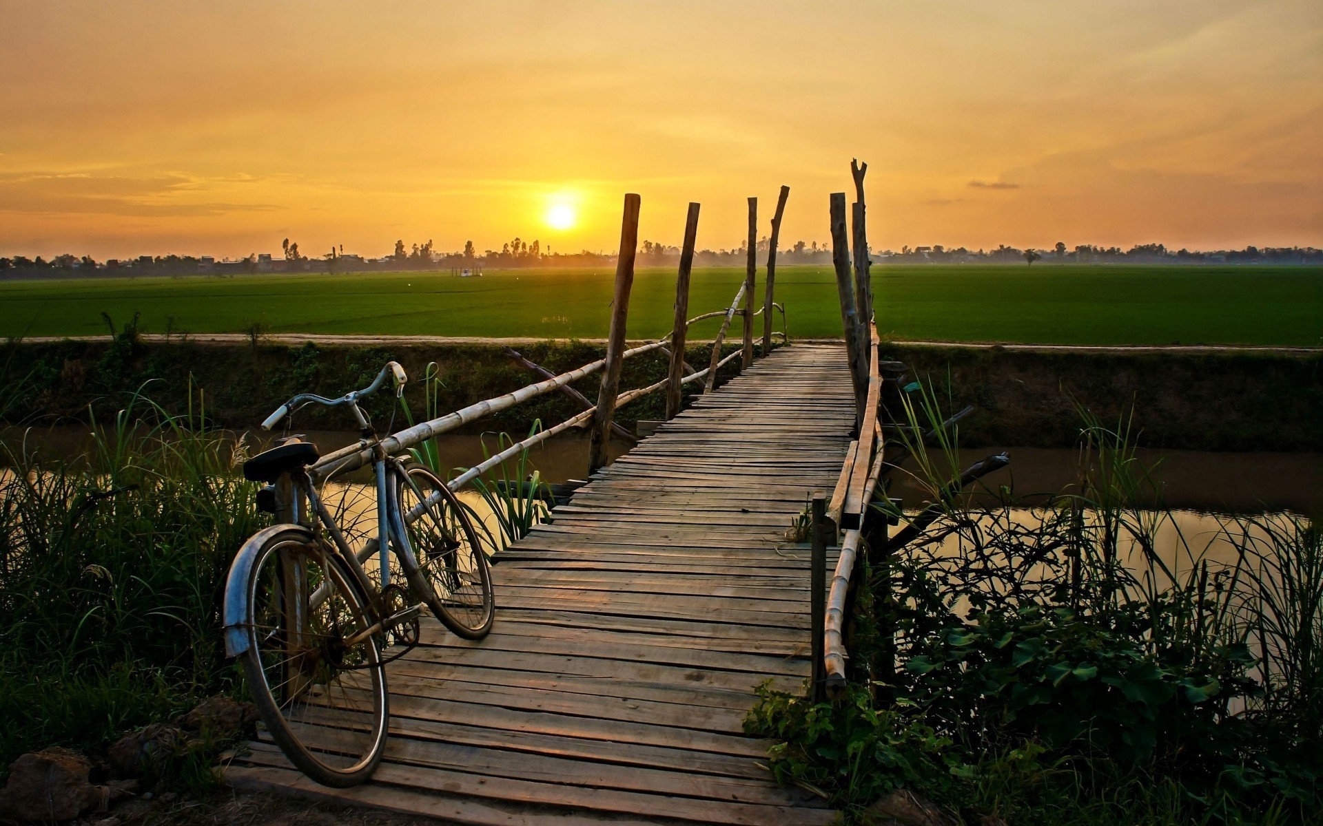 sonne landschaft sommer horizont fahrrad