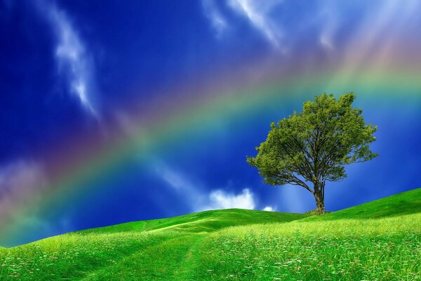 Sfondo del desktop arcobaleno sopra il campo