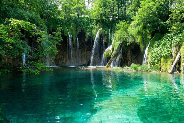 Schöne Aussicht auf den Teich mit Wasserfall