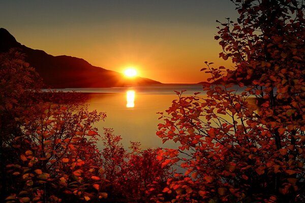 Coucher de soleil orange sur un lac tranquille