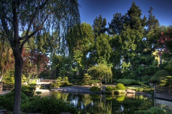 Paysage avec jardin et étang parmi les arbres