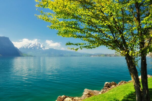 Berge Wasser Landschaft Baum