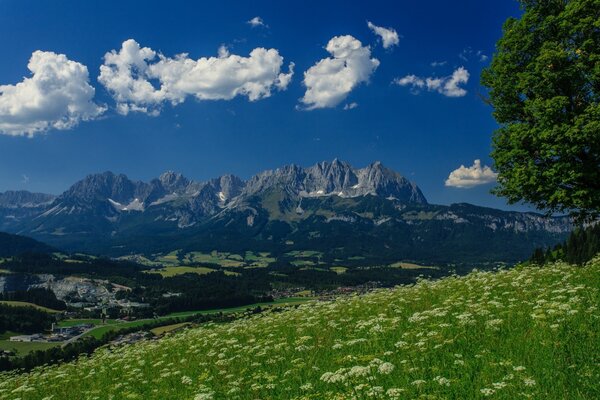 Grüne Wiese vor dem Hintergrund der Berge und des Himmels