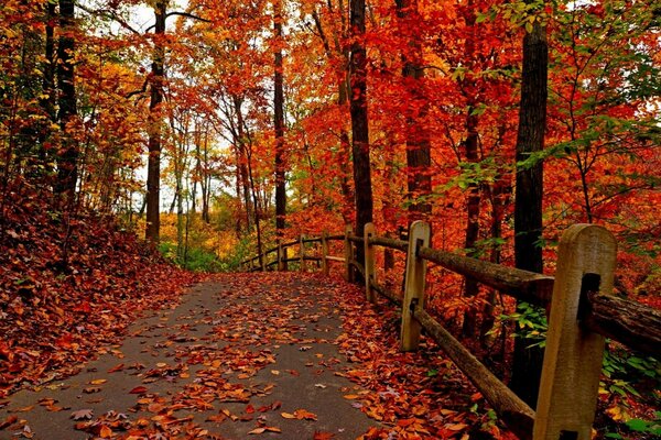 Recinzione stradale autunnale rossa