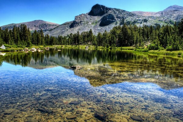 La tranquillità del Parco Nazionale di Yosemite