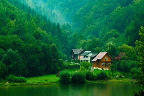 Sul paesaggio foresta, lago e case