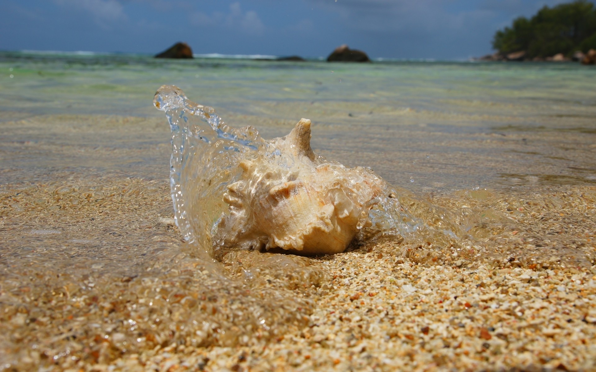 plage côte coquille bombe aérosol eau sable