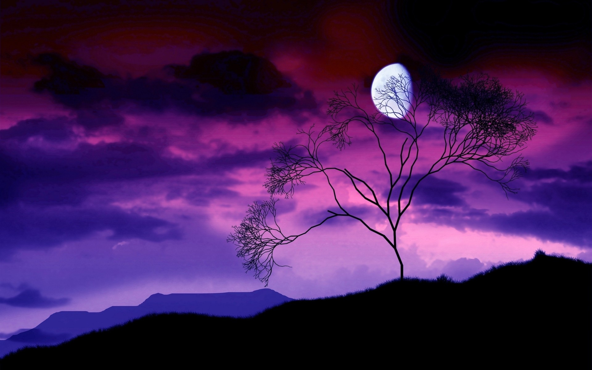 bush night form tree sky moon branch purple