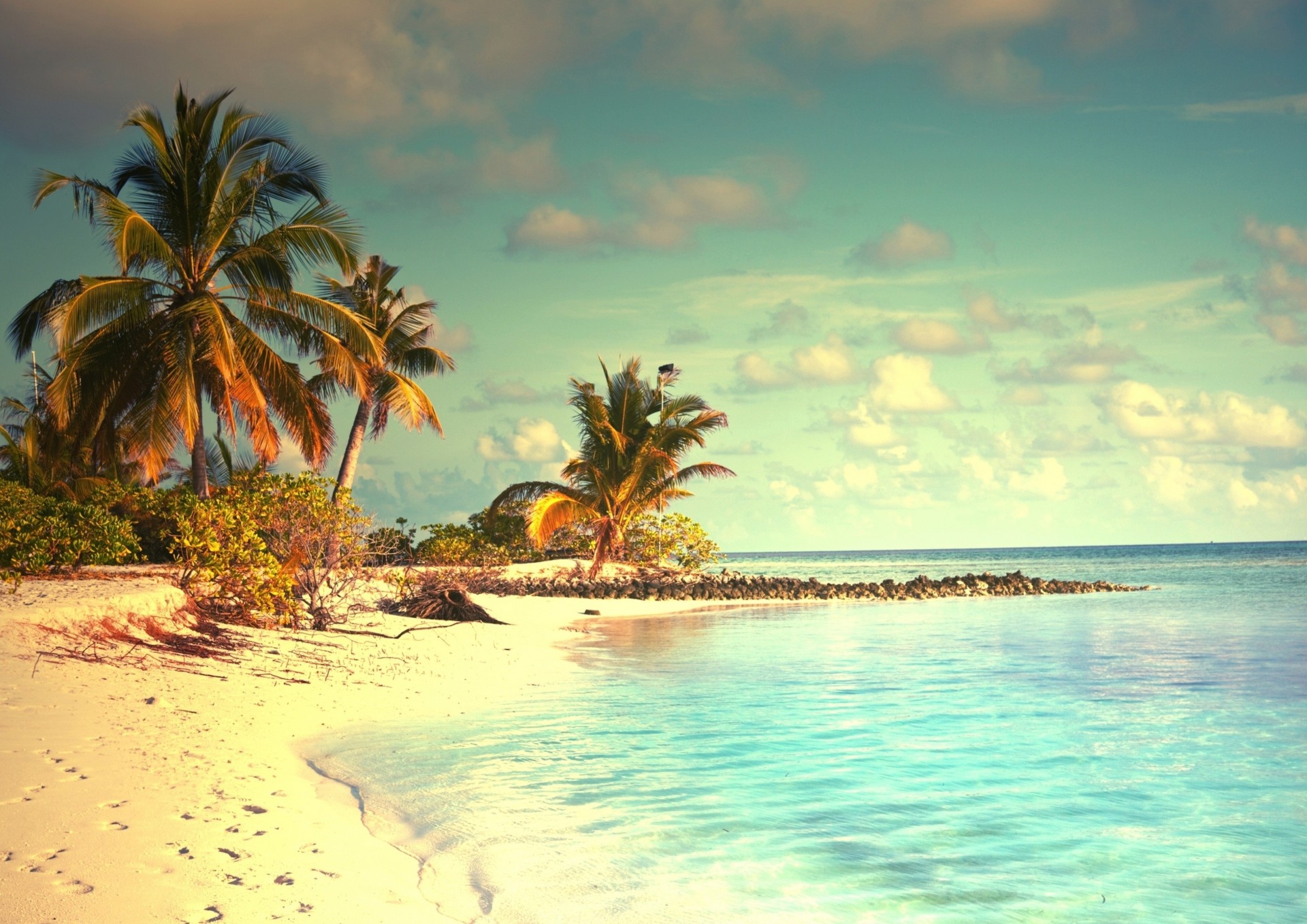 rain beach palm clouds tropics ocean nature summer sky australia jungle