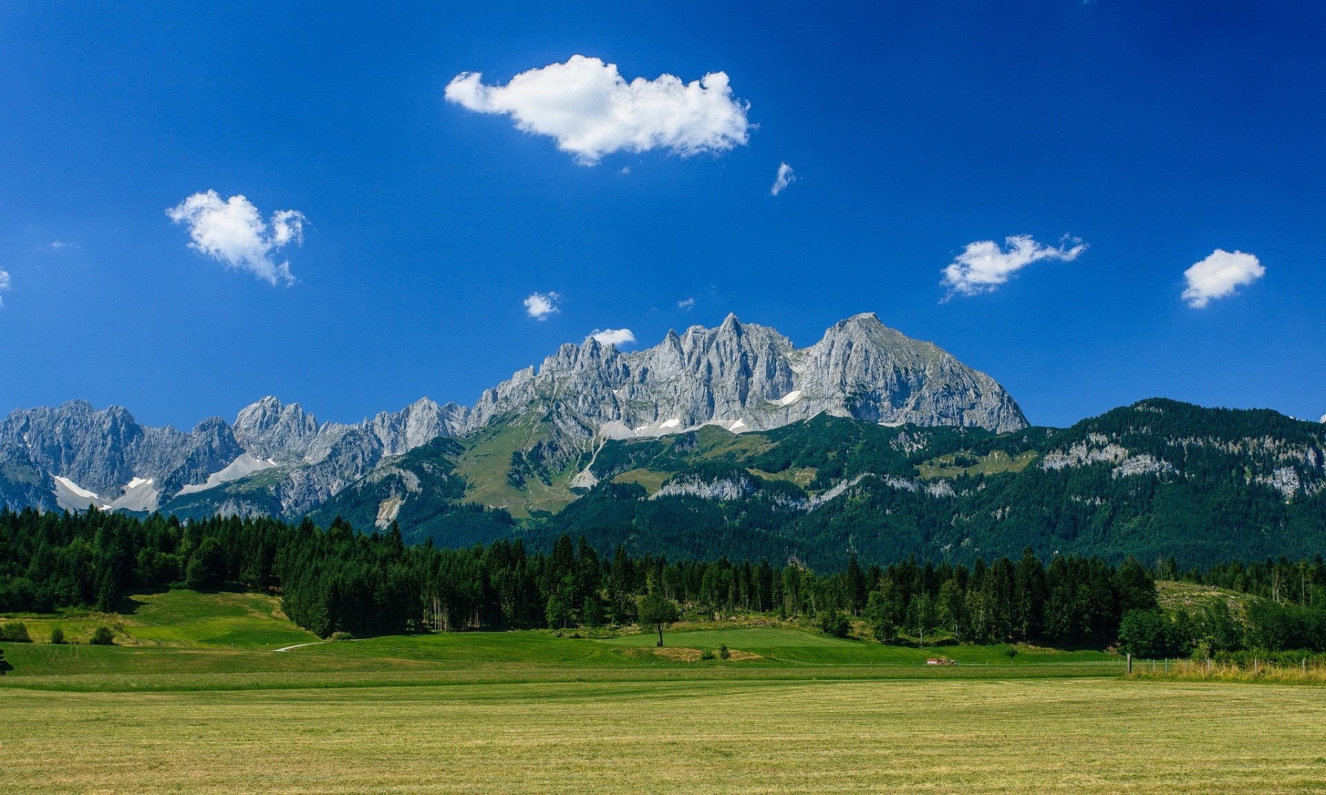 альпы лес wilder kaiser гора вильдер кайзер гальштат горы австрия луг