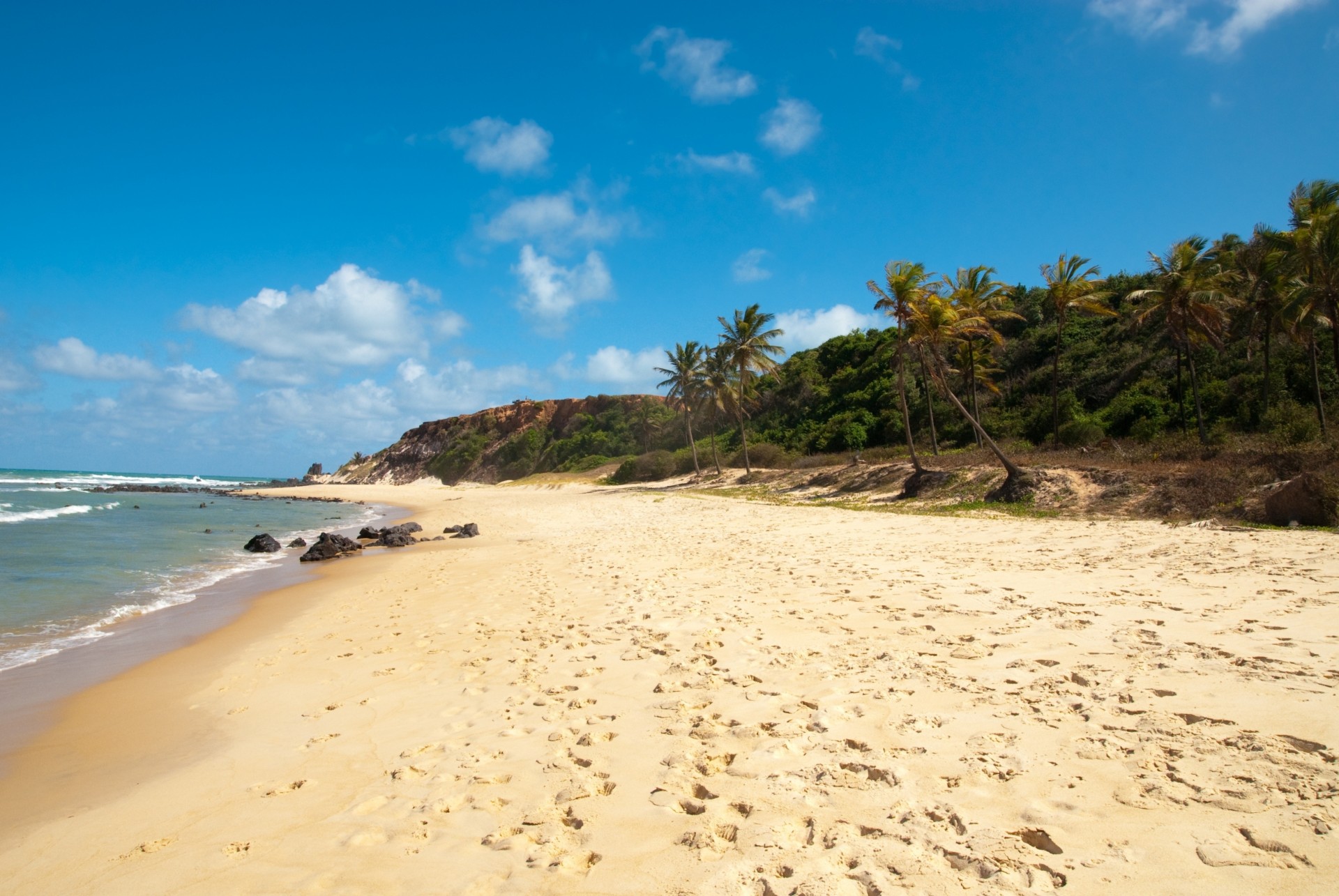 plage empreintes de pas palmiers brésil mer clair sable