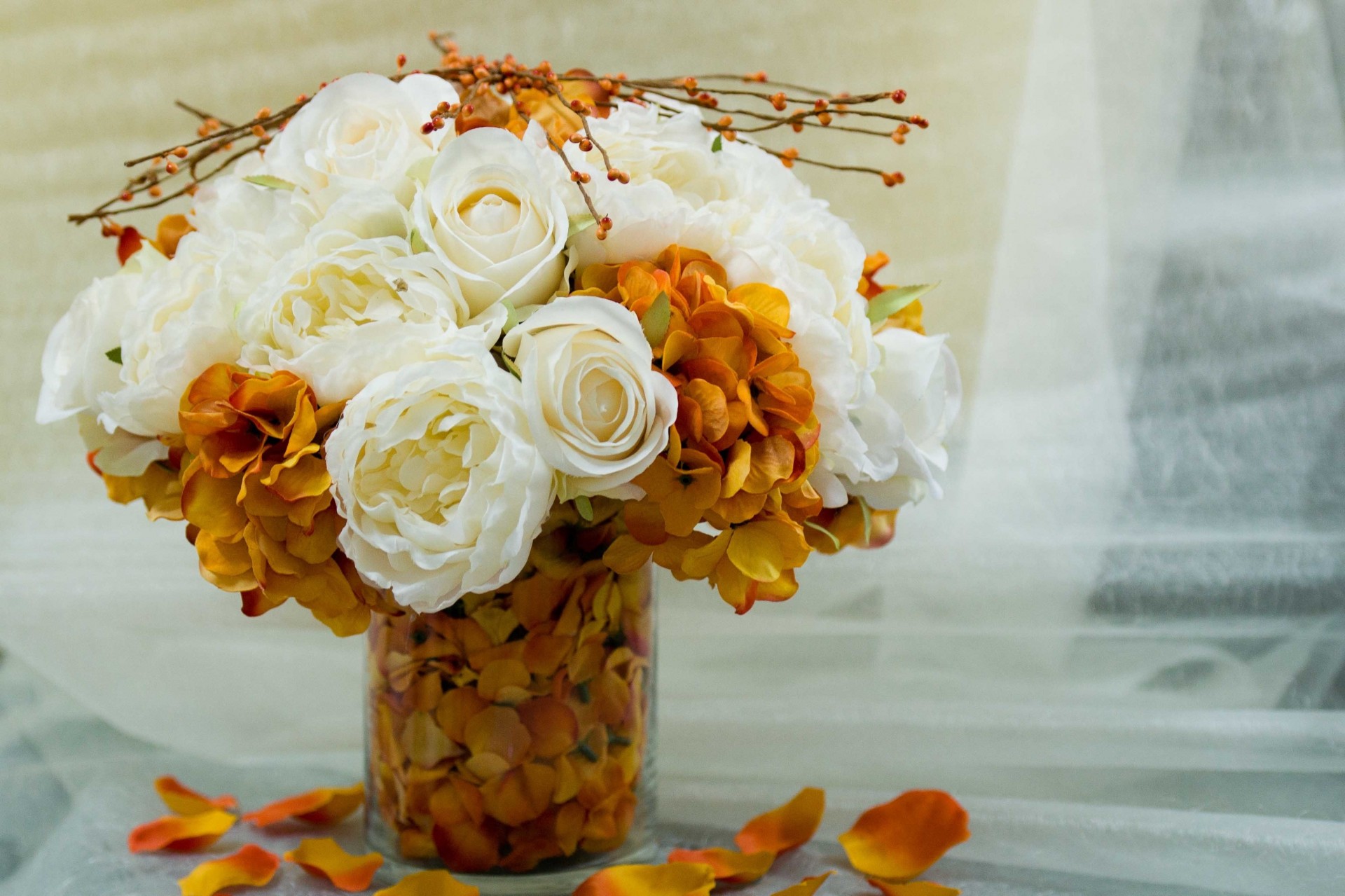 fleurs plein écran vase orange grand écran bouquet fond d écran fond blanc bouquet pétales