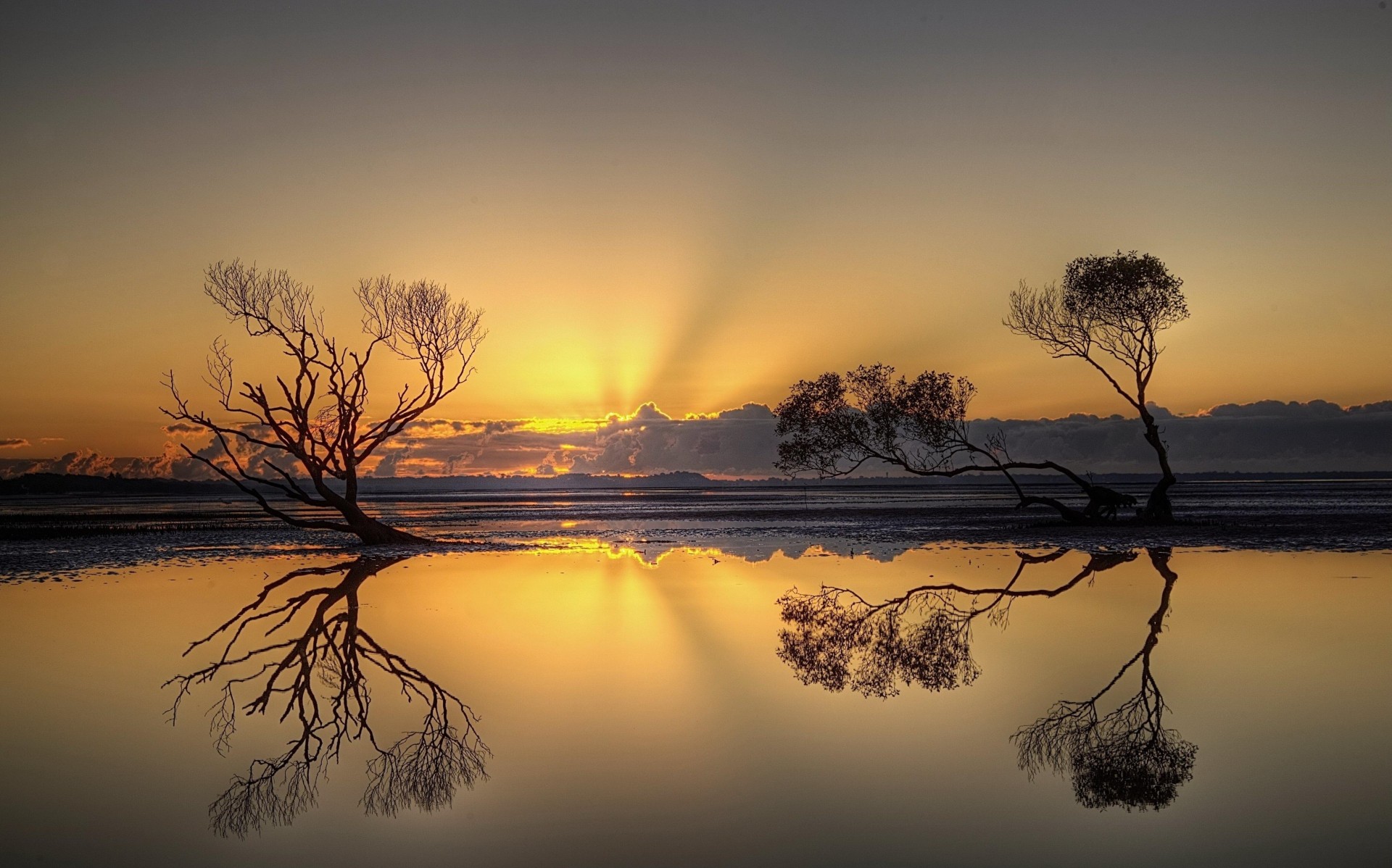 réflexion arbres coucher de soleil eau