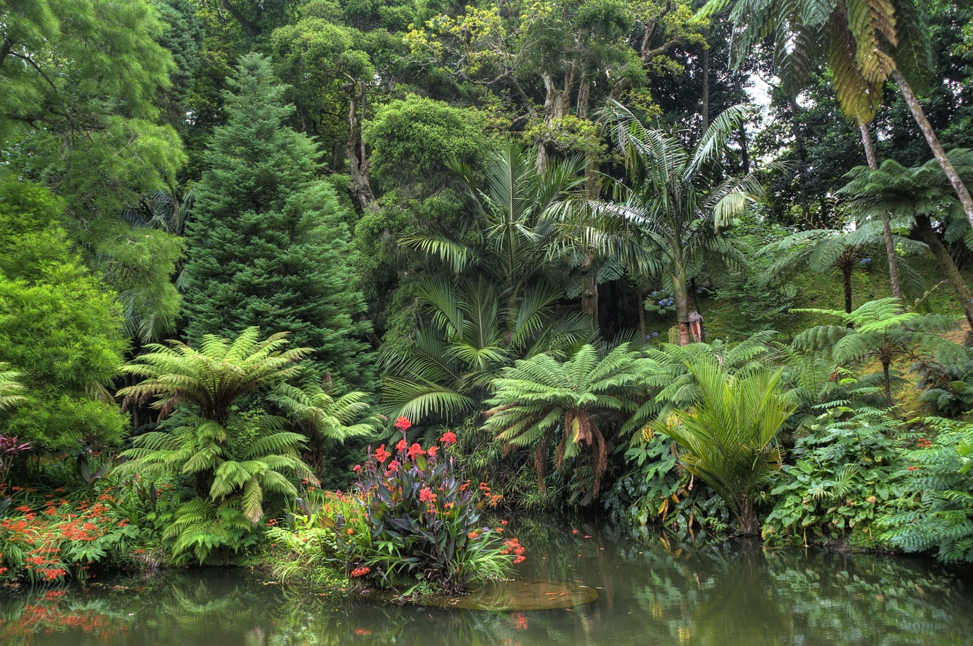 paysage étang nature jardin arbres