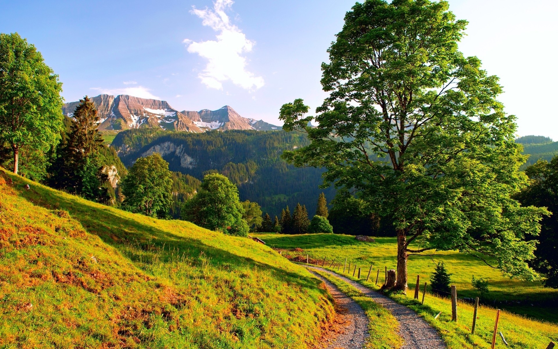 ciel route herbe montagnes arbre