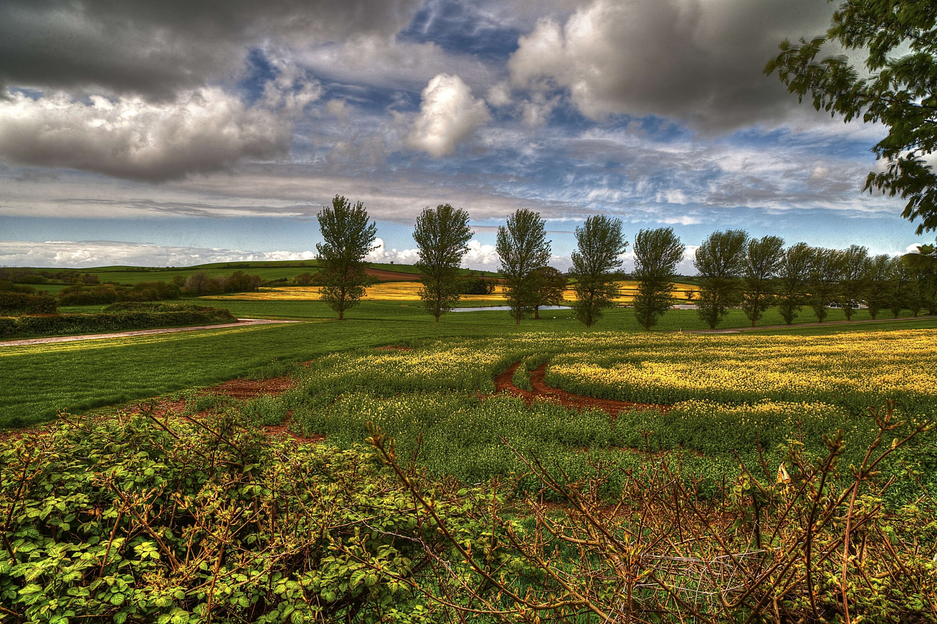 ciel buissons nuages fleurs étang arbres nature toscane paysage