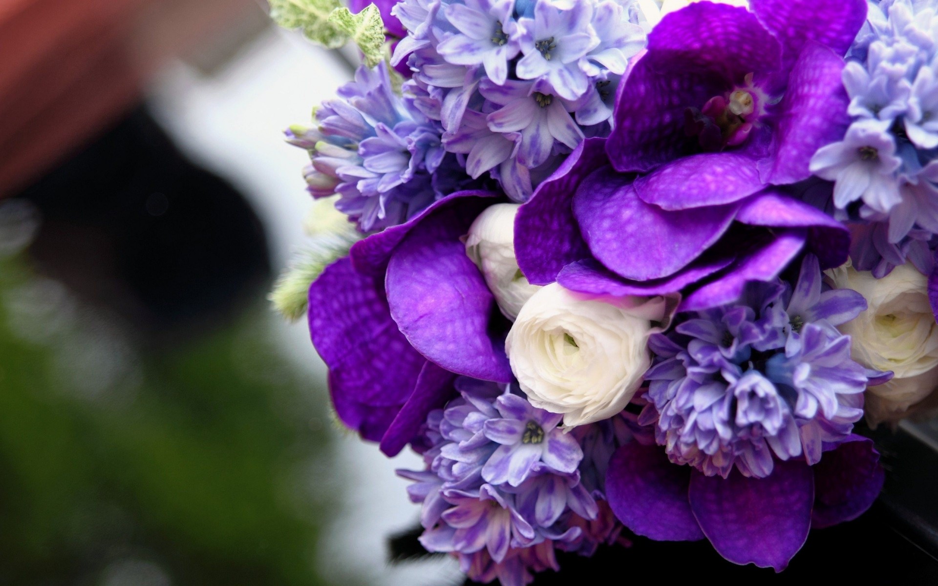 bouquet purple beautiful flower