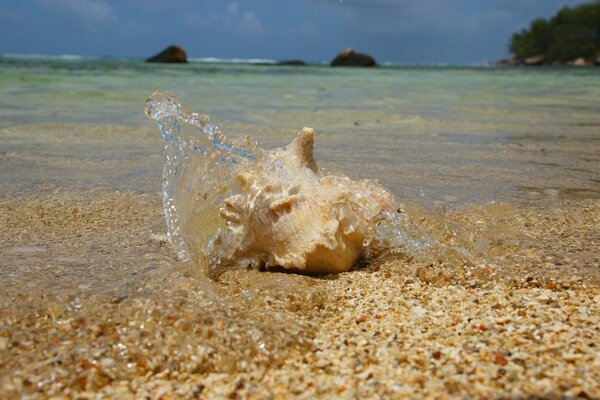 Klares Wasser und Steinstrand