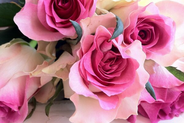 Bouquet di fiori di rose con petali colorati