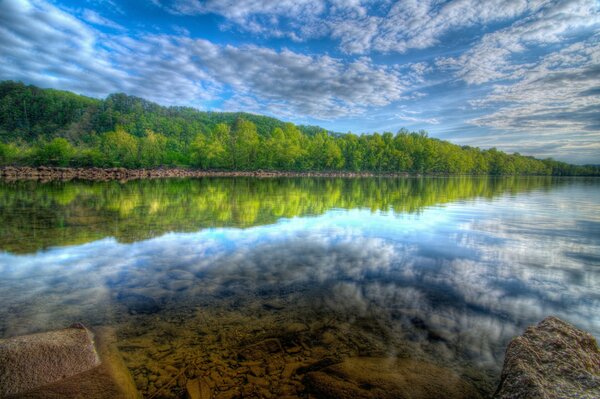 Paisaje del bosque en el reflejo del lago