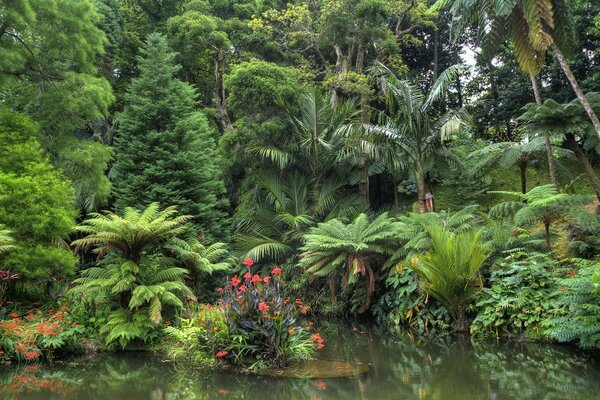 Hermoso Jardín con estanque y árboles