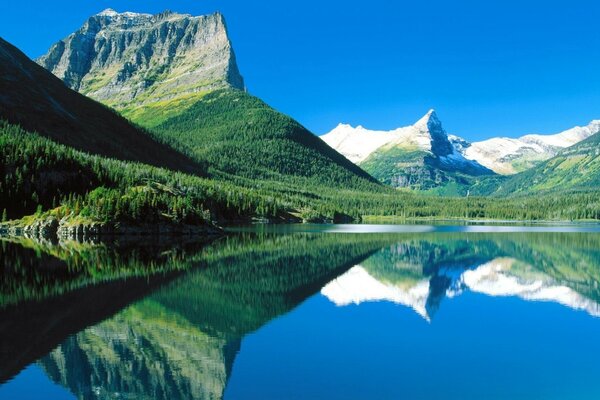 See Berge Wald Sommer