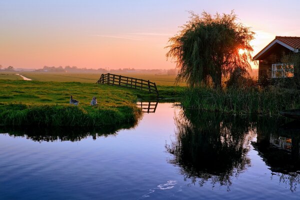 Villaggio tranquillo con stagno al tramonto