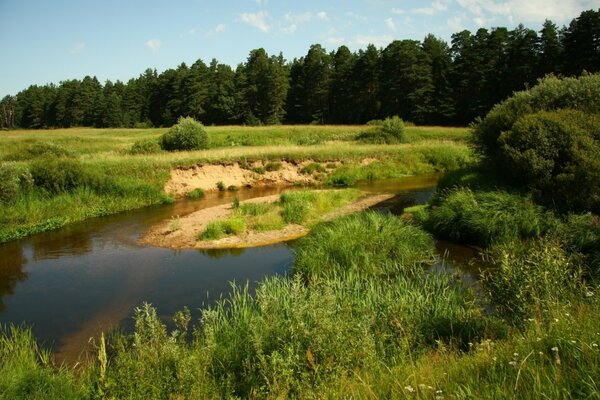 Fluss mit Sandinsel