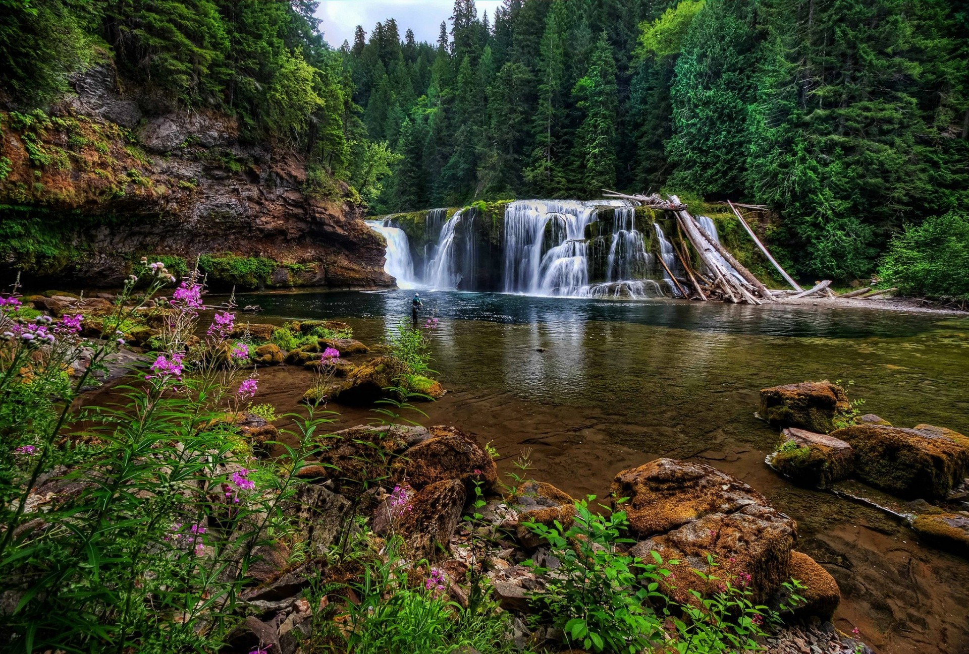 камни водопад река вашингтон лес цветы река льюис