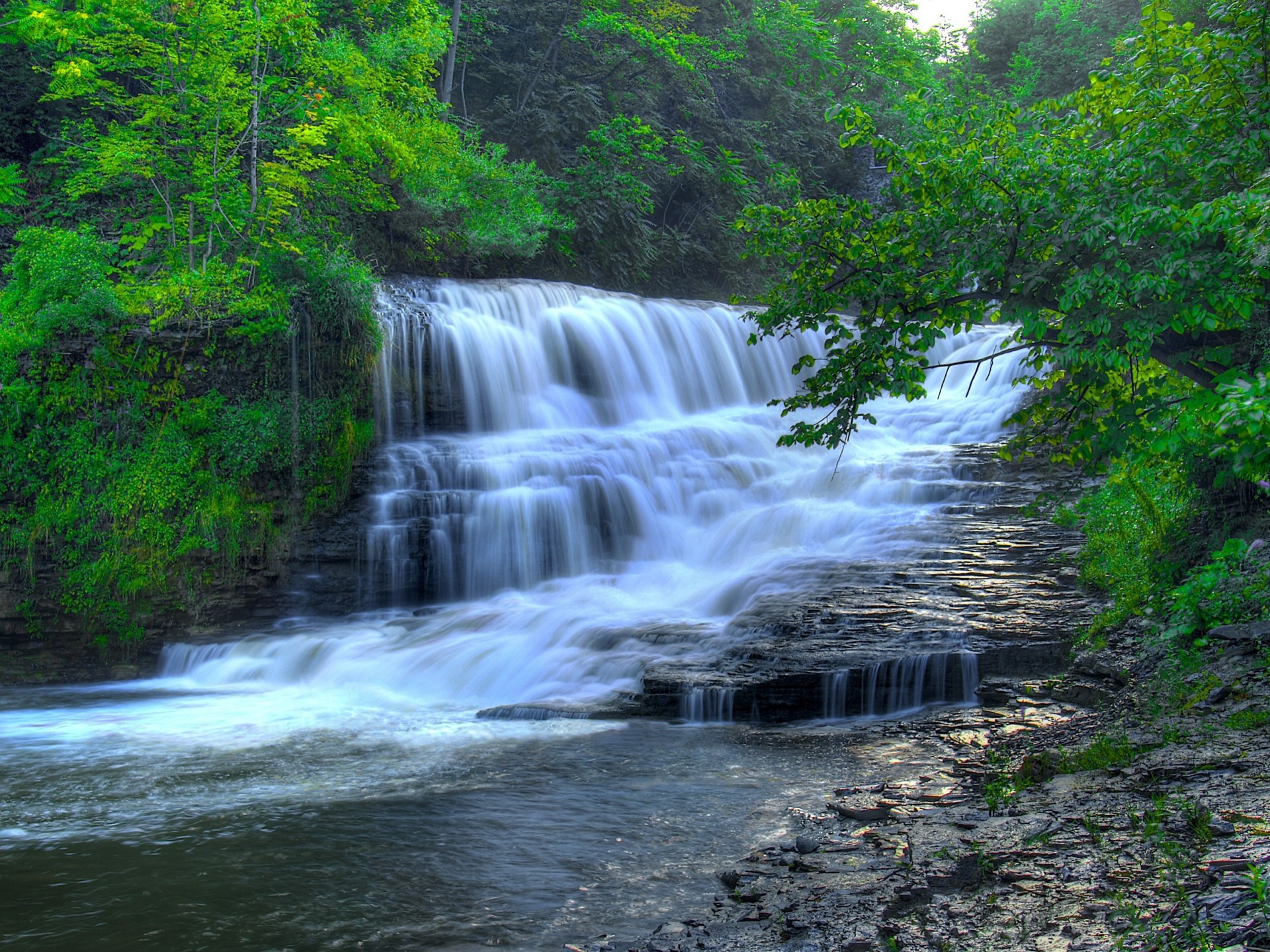 fiume natura cascata alberi