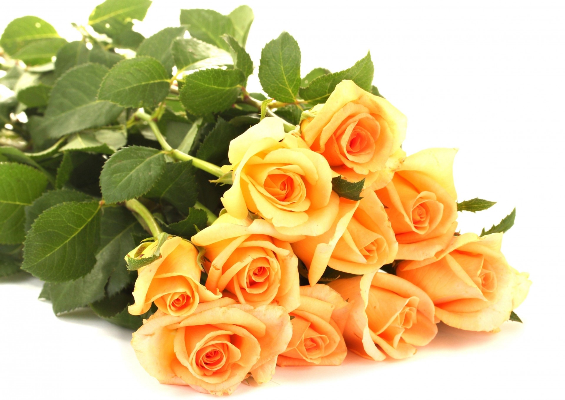 lie bouquet giallo fiori rose