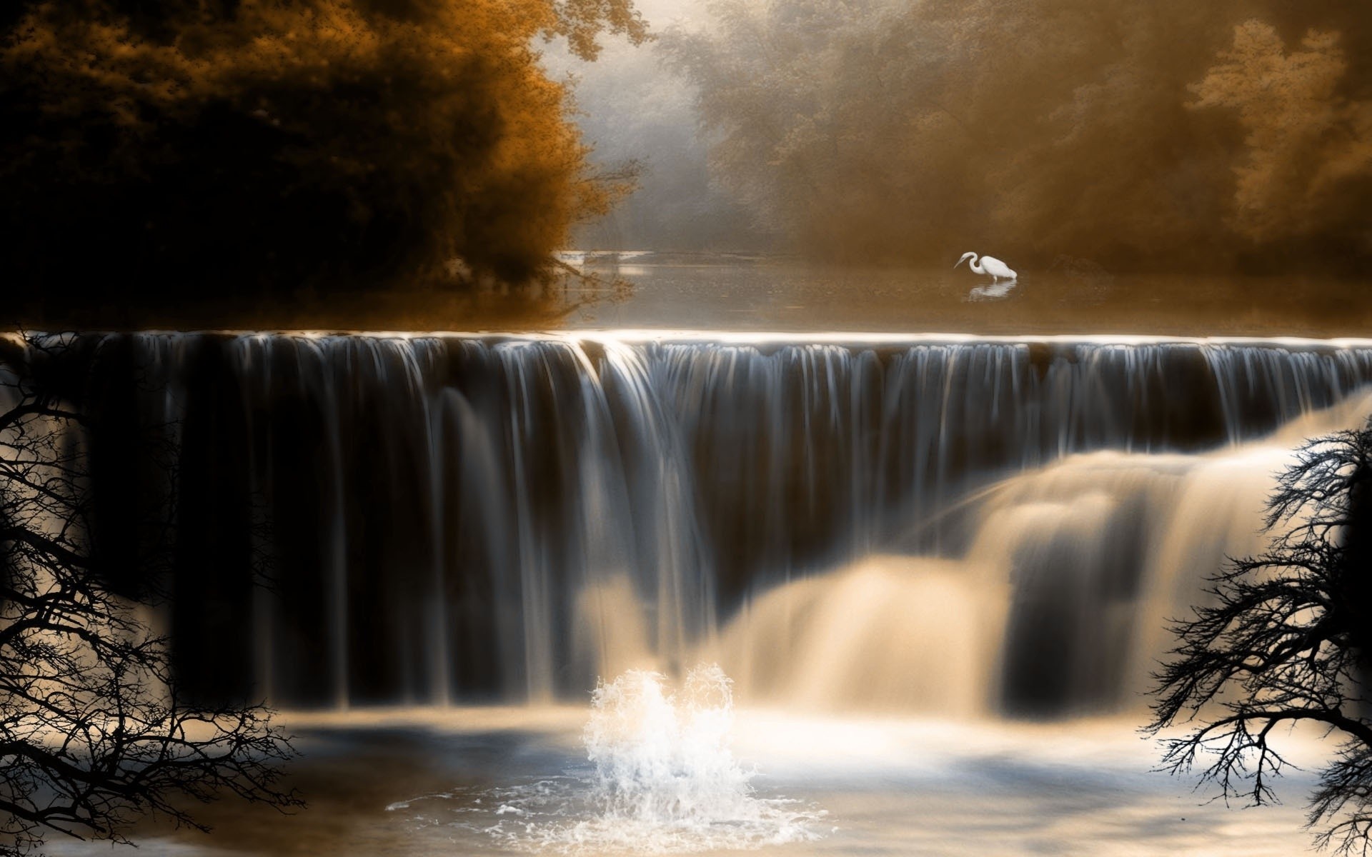 birds landscape forest waterfall nature