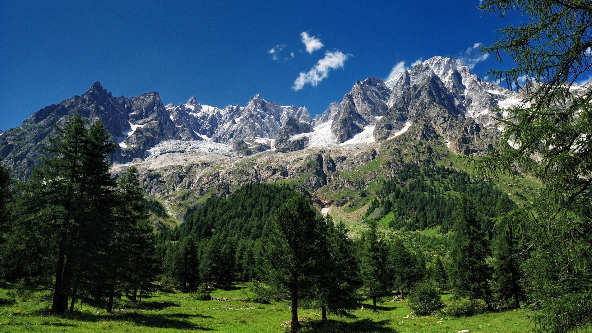 mont blanc árboles alpes montañas