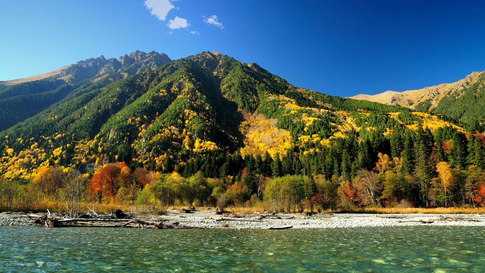 river forest water rivers autumn mountain