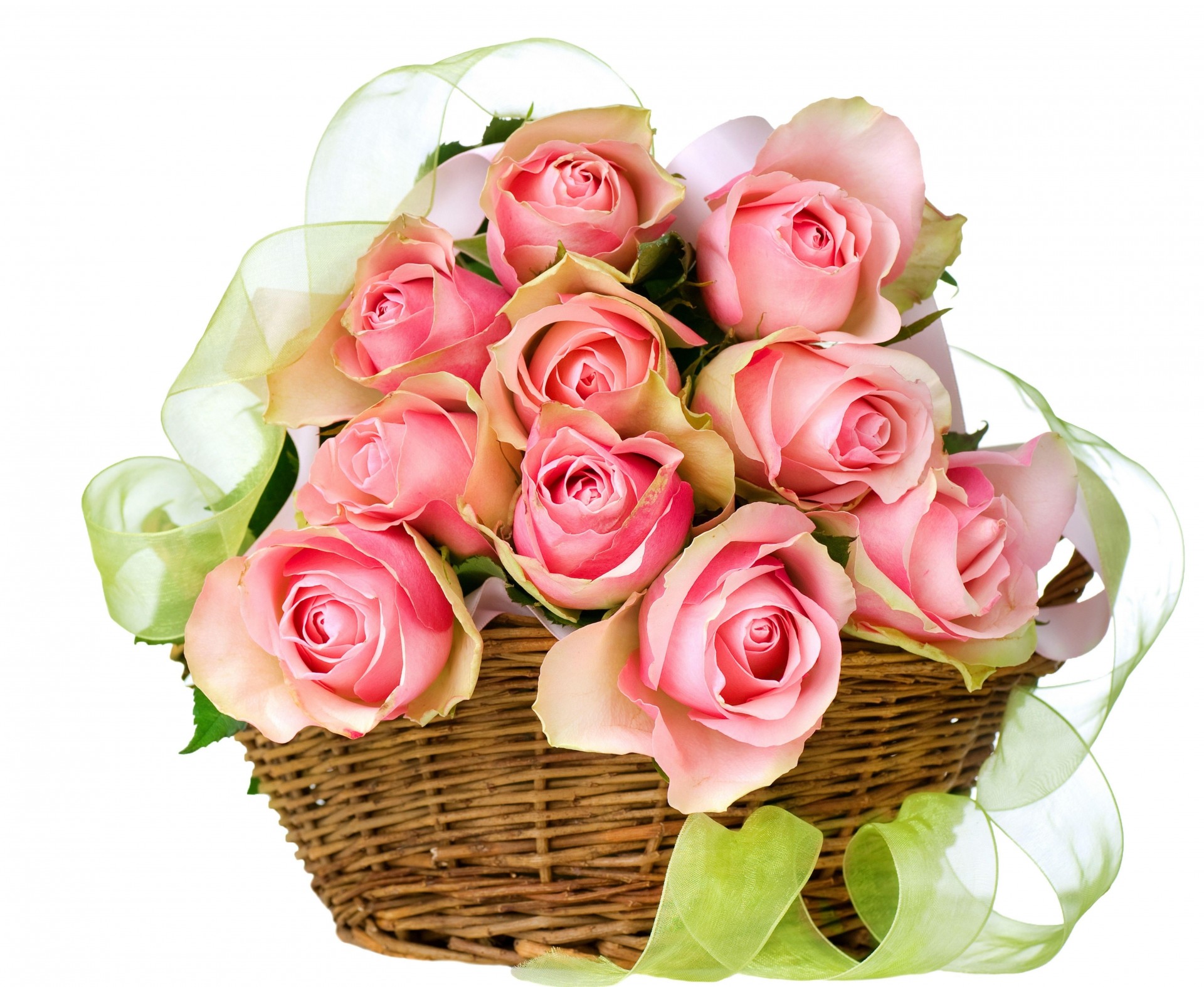 ruban fond blanc shopping roses