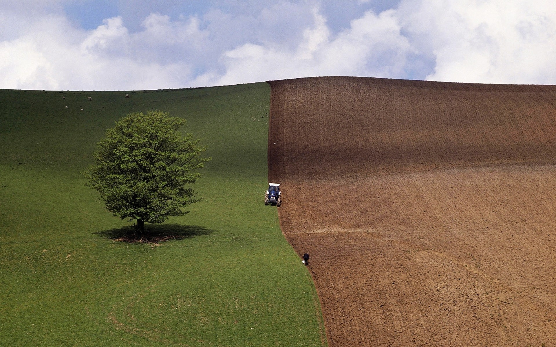 the field tractor